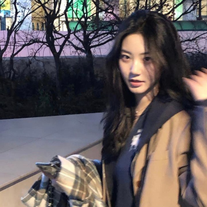 黑帮掌门人